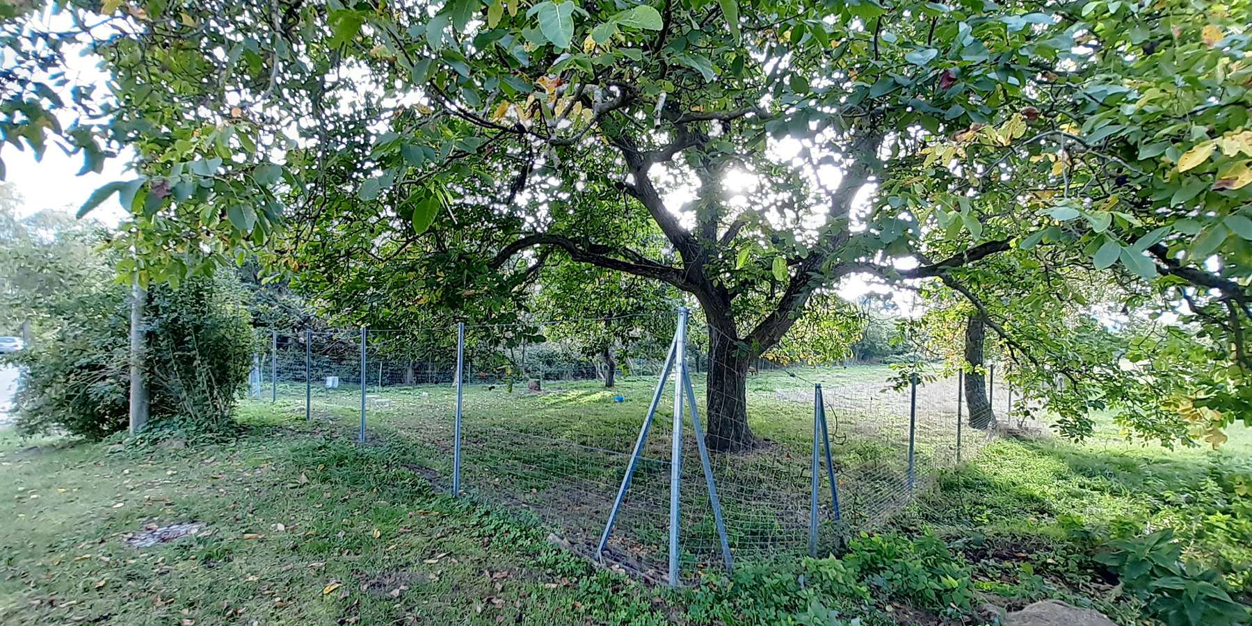 Das Land Mecklenburg-Vorpommern beabsichtigt, das nachfolgend näher beschriebene Grundstück in 19376 Ruhner Berge (Jarchow), Am Wulfsberg (Objektnummer 18543) zu verkaufen. © 2025 SBL-MV
