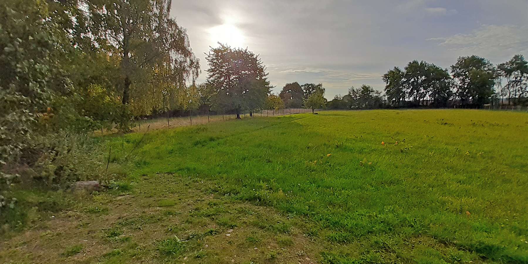 Das Land Mecklenburg-Vorpommern beabsichtigt, das nachfolgend näher beschriebene Grundstück in 19376 Ruhner Berge (Jarchow), Am Wulfsberg (Objektnummer 18543) zu verkaufen. © 2025 SBL-MV