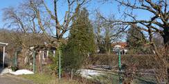 Blick über den Gartenzaun © 2025 Ministerium für Finanzen und Digitalisierung Mecklenburg-Vorpommern