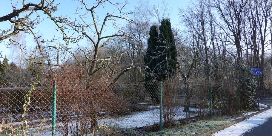 Blick über den Gartenzaun © 2025 Ministerium für Finanzen und Digitalisierung Mecklenburg-Vorpommern