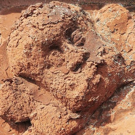 Schadhafte Terracotte © 2026 SBL Schwerin