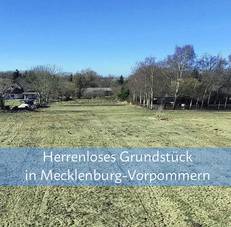 Veräußert wird das Aneignungsrecht an einem herrenlosen Grundstück in der Gemarkung Bartelshagen II in der amtsangehörigen Gemeinde Saal. © © 2026 Ministerium für Finanzen und Digitalisierung MV