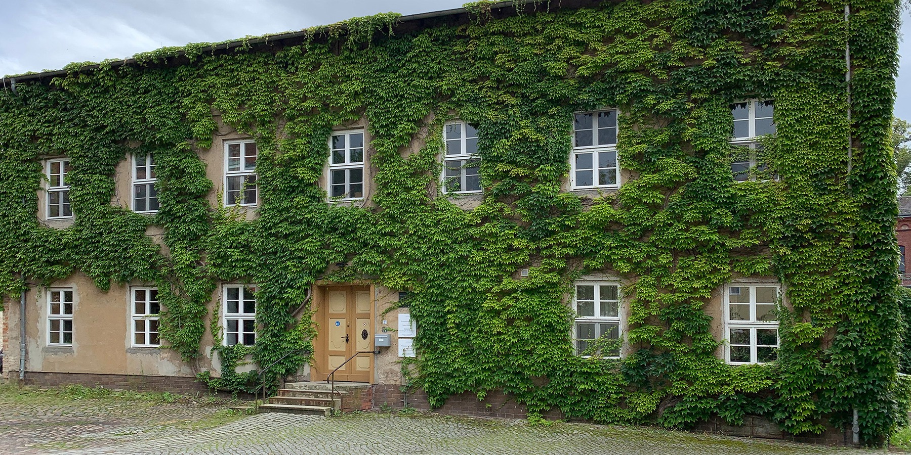 Nordseite des Bestandsgebäudes mit Fassadenbegrünung - vor Beginn der Sanierung © 2023 SBL Greifswald