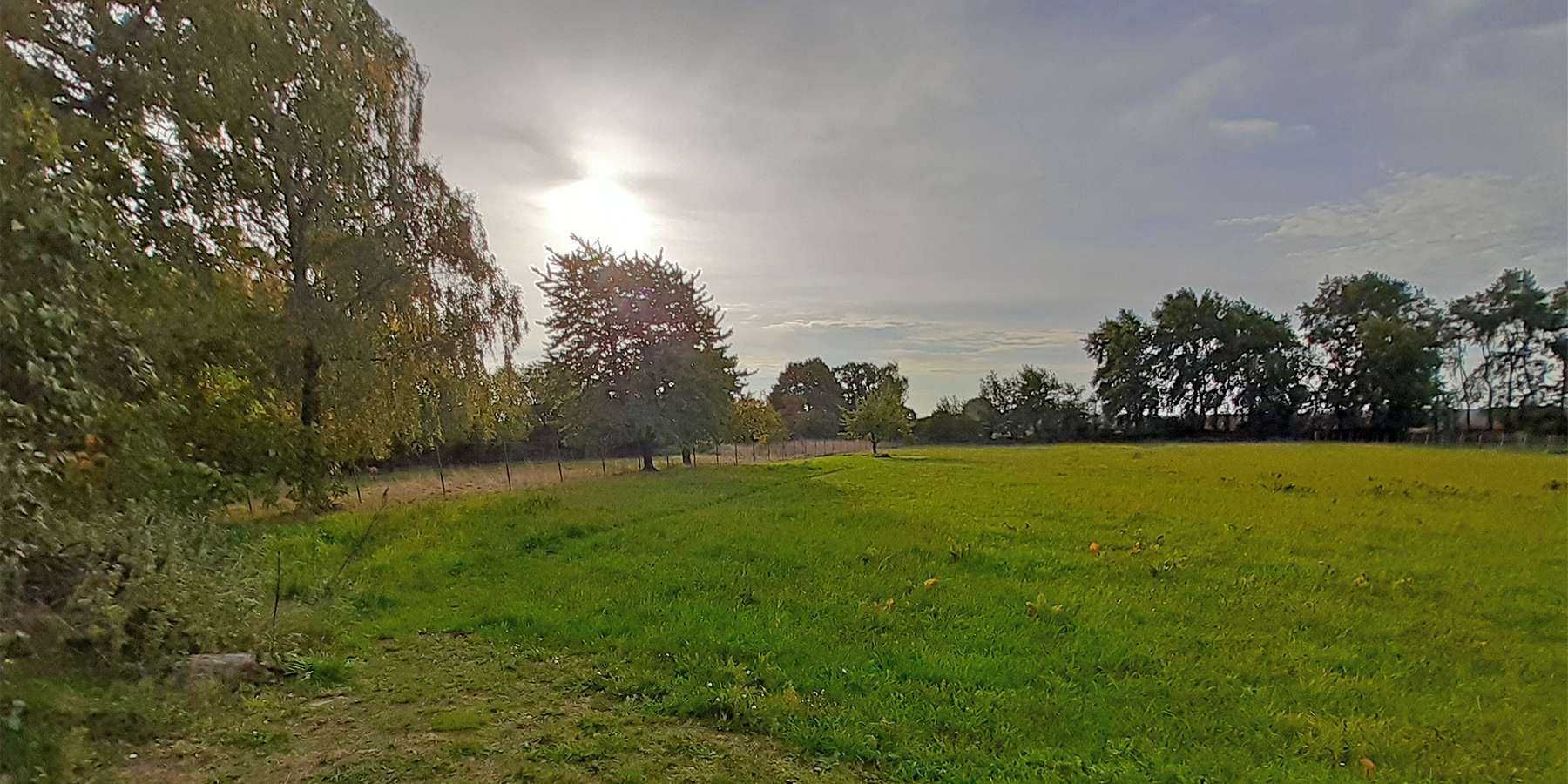 AUKTION! Das Land Mecklenburg-Vorpommern verkauft ein bebautes Grundstück. © 2026 SBL-MV (Ministerium für Finanzen und Digitalisierung Mecklenburg-Vorpommern)
