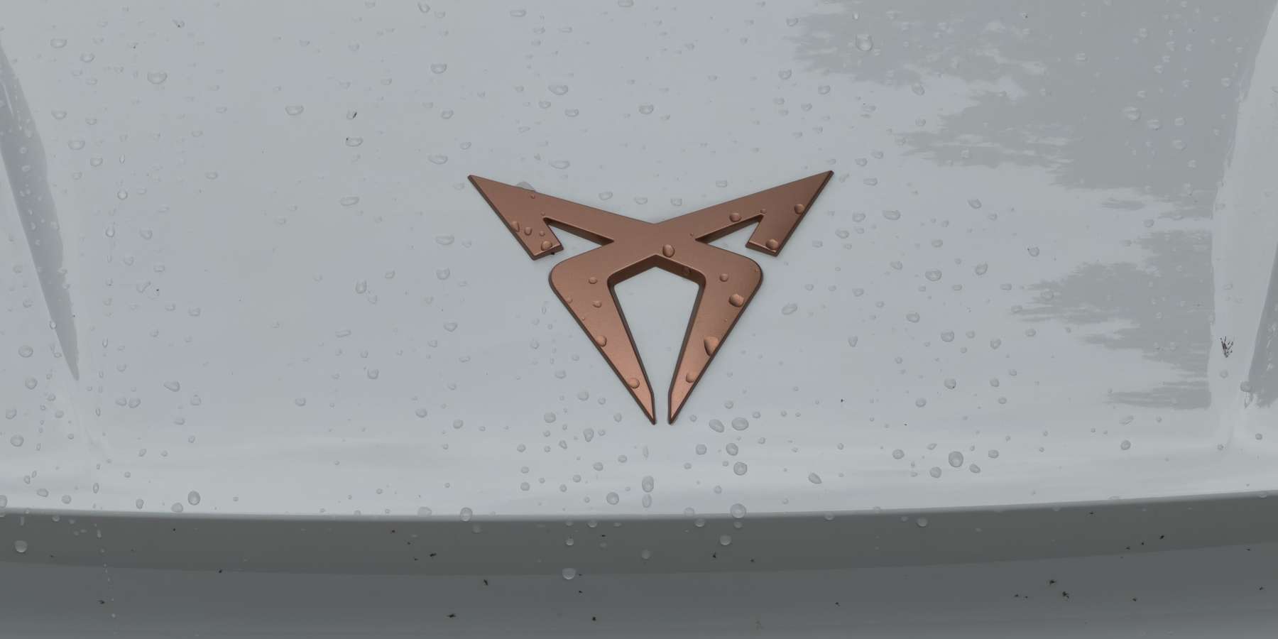 Logo! Cupra Born © 2026 Christian Hoffmann (SBL-MV / Ministerium für Finanzen und Digitalisierung MV)